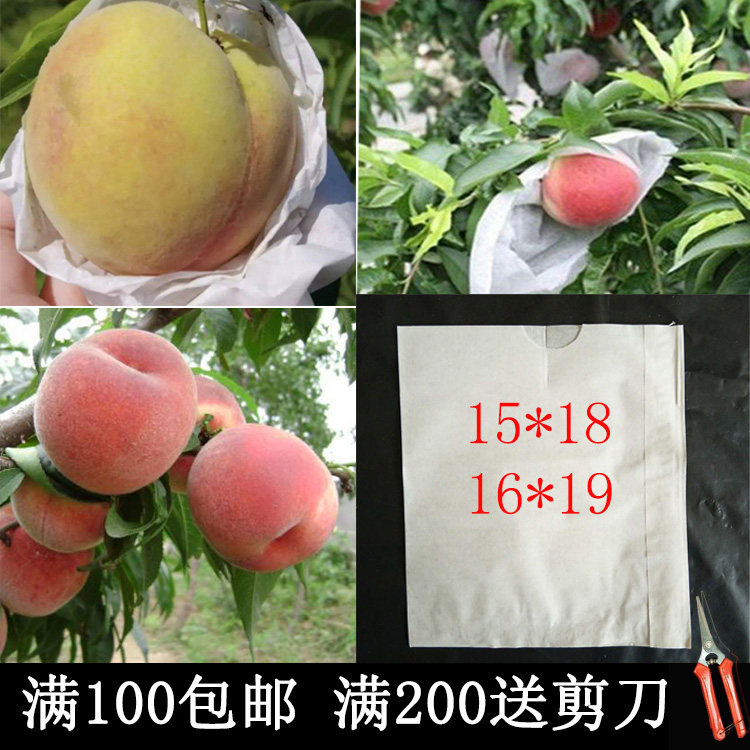 桃映霜红冬晚熟桃套袋子防虫防鸟其它园艺用品