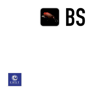 ERST六活塞刹车套装 沃尔沃