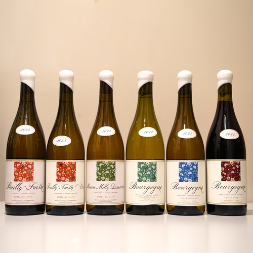 DOMAINE ELOY勃艮第霞多丽爱乐华普伊富赛干白葡萄酒 750ML