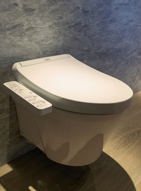 TOTO壁挂马桶CW822EB/TCF3A260KCN智能盖板TC400CVK缓冲盖板挂墙