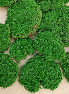 仿真苔藓块假块状苔藓假青苔造景装饰可拉扯变形
