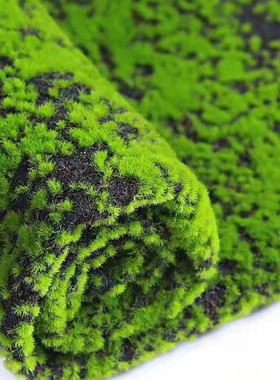 仿真苔藓假草坪草皮青苔盆景摄影装饰绿植微景观造景植绒装饰厂家