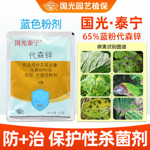 国光泰宁蓝粉代森锌番茄西红柿早疫病农药杀菌剂农用正品旗舰店