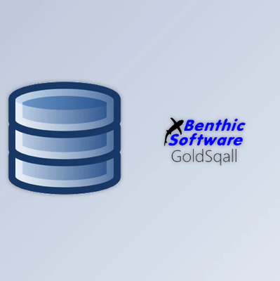 Benthic Software GoldSqall v2.0