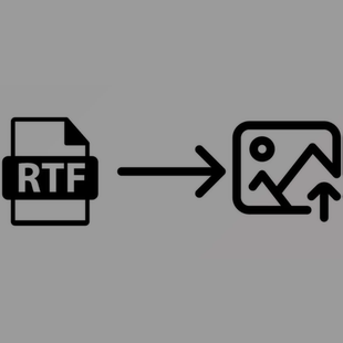 SubSystems RTF to Image Converter v14.0 for .Net 永久
