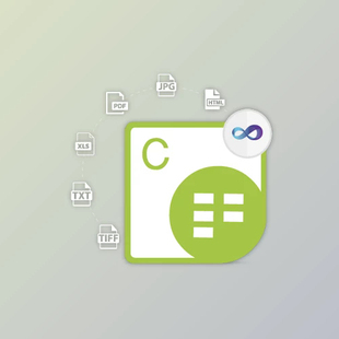 v25.2.0 Aspose.Cells for .NET 本 支持多版