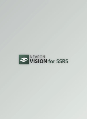 Nevron Vision for SSRS 2019.1 Build 21.1.7.12