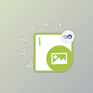 v25.3.0 Aspose.Imaging for .NET 本 支持多版
