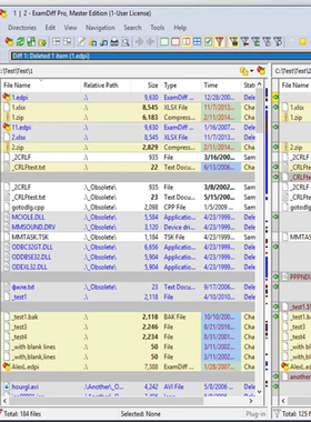 ExamDiff Pro Master Edition v15.0