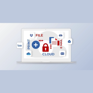 FastReport CoreWin v2022.1.0   支持多版本