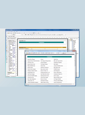 FastReport Activex v4.9.237   支持多版本