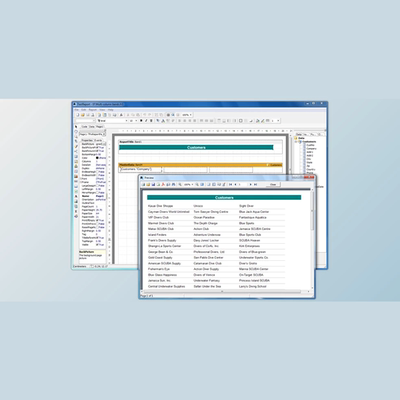FastReport Activex v4.9.237   支持多版本