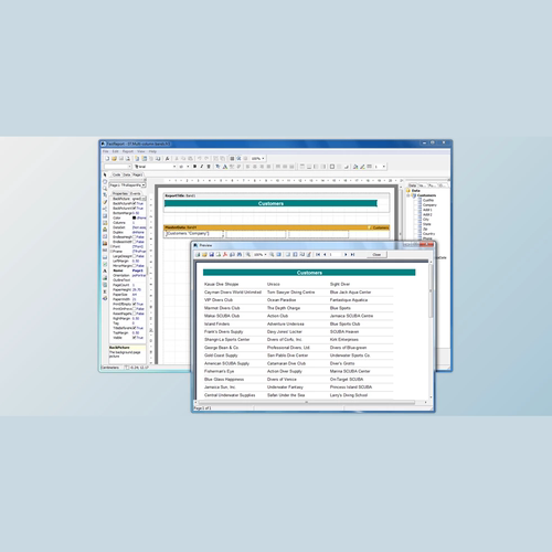 FastReport Activex v4.9.237   支持多版本