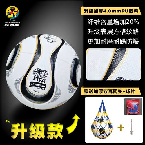 团队之星2006德国世界杯足球5号