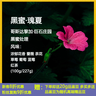 乔の巴咖啡哥斯达黎加巨石庄园黑蜜处理黑蜜瑰夏手冲精品咖啡豆