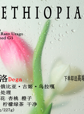 埃塞俄比亚古姬Guji乌拉嘎Raro绮洛Dega水洗处理 手冲单品咖啡豆
