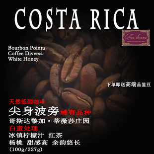 哥斯达黎加蒂薇莎庄园尖身波旁白蜜处理手冲单品天然低因咖啡豆