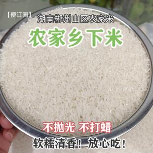 湖南晚稻米本地农家乡下米软香米大米新米不抛光香软糯不抛光打蜡