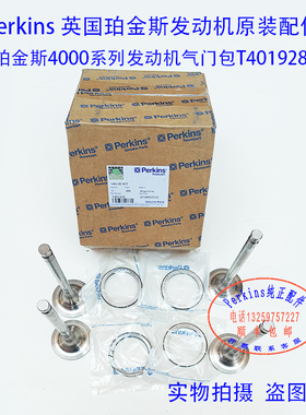 Perkins 铂金斯4000VALVE KIT发动机气门包T401928大修包