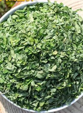 广西十万大山野生鸡骨草叶新鲜叶子正品回甘爽口泡茶250克