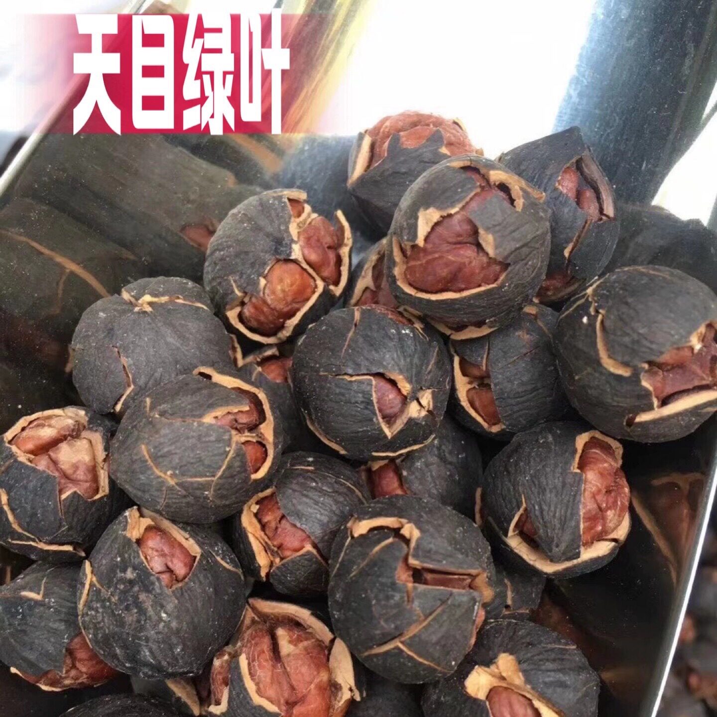 特大籽坚果临安山核桃天目绿叶