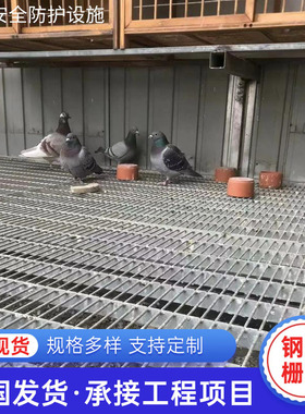 热镀锌公棚鸽舍地网 漏粪漏水鸟舍钢格栅 赛鸽信鸽养殖棚格栅板