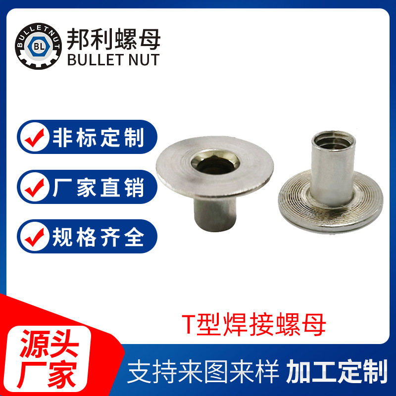 工厂现货304不锈钢T型焊接螺母四点家具定位螺母欧标螺母汽车