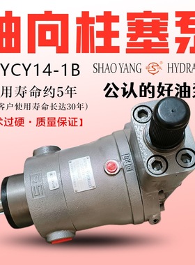 邵阳维克柱塞泵63YCY14轴向柱塞泵SY邵液油泵电机组SY-25YCY-Y132