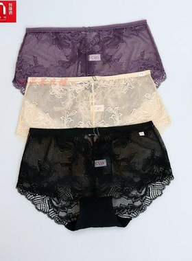 单条装 CYN创雅诺98006锦纶花边女平角裤68003性感透明蕾丝女内裤
