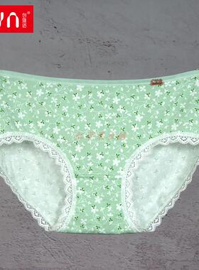 3条包邮 正品CYN创雅诺76053棉质加莫代尔女士平角裤蕾丝边女内裤