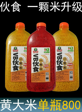 天网伙食VB一颗米麝香酒米伙食团窝米大红米野钓鲫鲤草鱼窝饵料