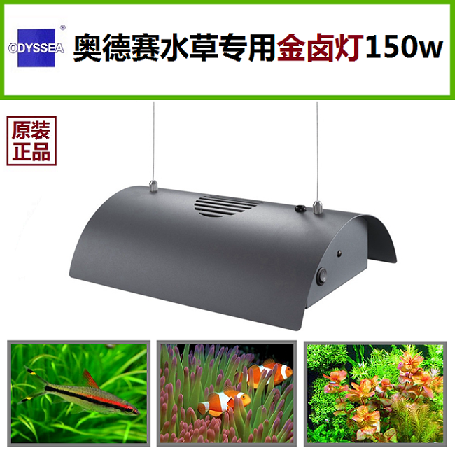 奥德赛  珊瑚硬骨金属卤素吊灯 水草金卤灯 水族配风扇灯具 150W
