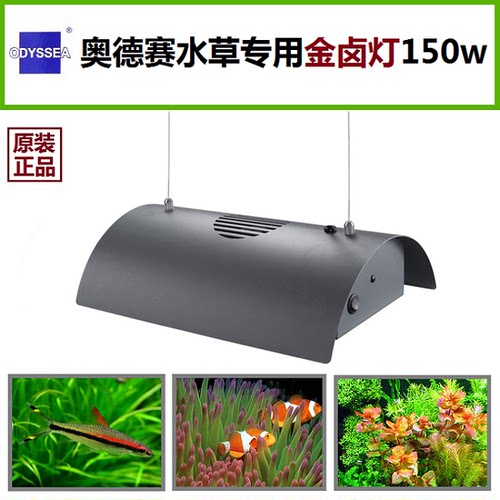 奥德赛  珊瑚硬骨金属卤素吊灯 水草金卤灯 水族配风扇灯具 150W