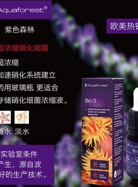 紫色森林硝化细菌快速建立系统