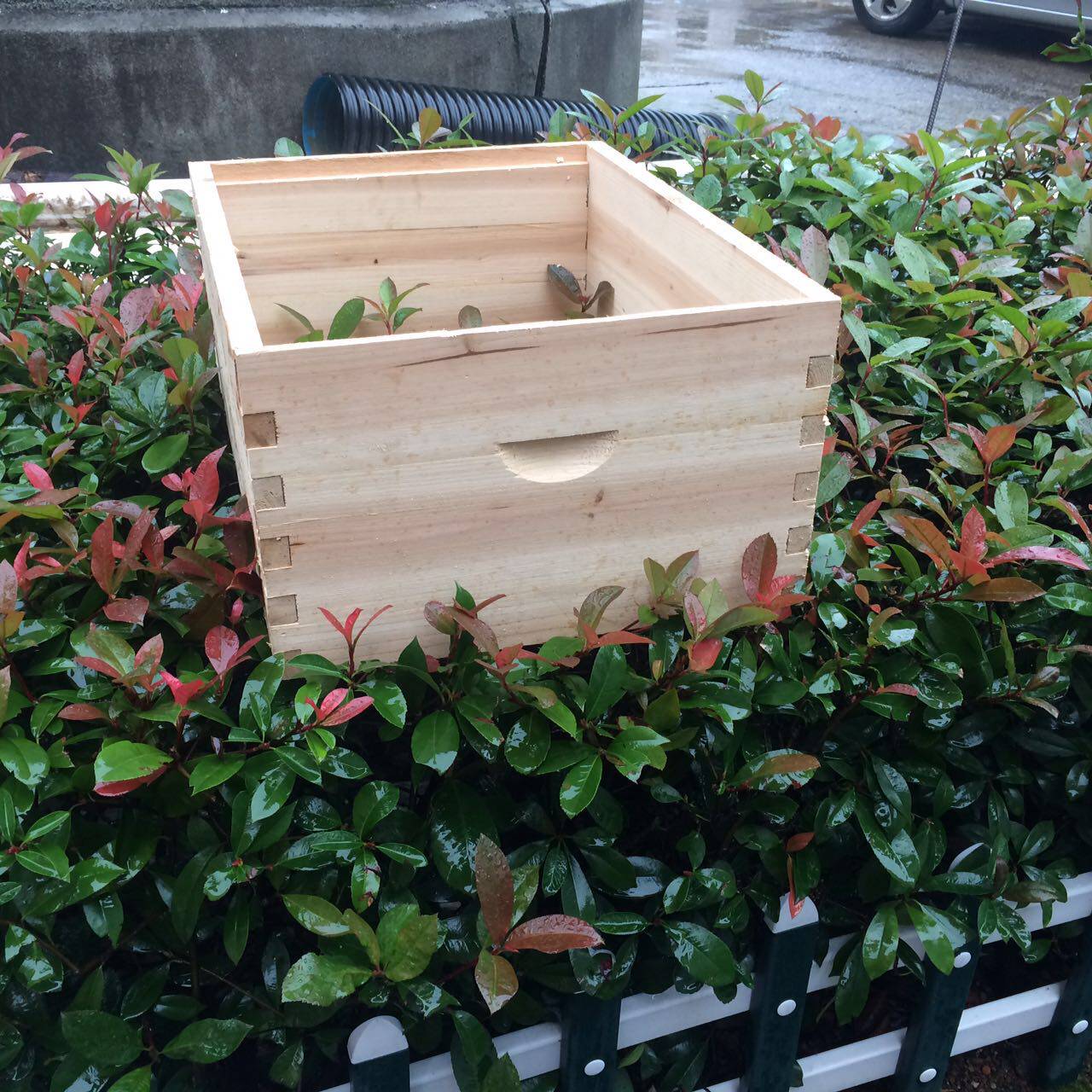 义乌蜂具铜峰养蜂◆中蜂巢础巢框中意蜂蜂箱◆41*51继箱圈