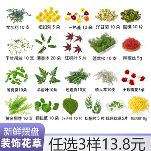 摆盘装饰花草蛋糕烘焙鸡尾酒饮品网红花草三色堇清香木叶子迷迭香