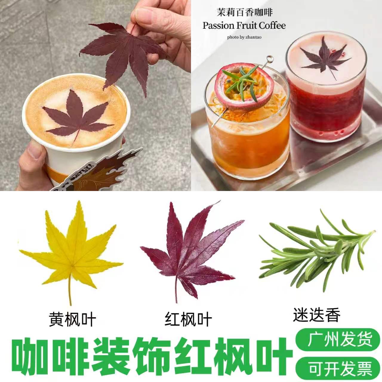 秋季蛋糕烘焙咖啡装饰红枫叶真空包装饮品调酒点缀植物绿叶迷迭香图片