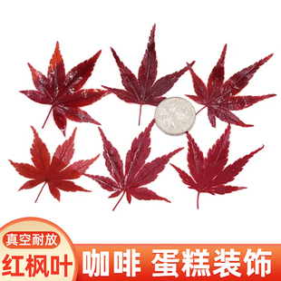 新鲜真空红枫叶秋季咖啡鸡尾酒饮品点缀叶子摆盘装饰蛋糕烘焙点缀