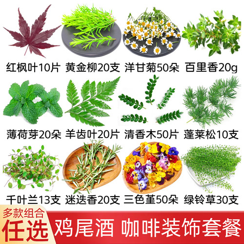 鸡尾酒咖啡装饰摆盘花草套餐蛋糕烘焙清香木叶子三色堇刺身点缀
