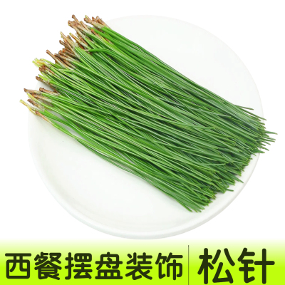 新鲜可食用马尾松针调酒鸡尾酒饮品榨汁西餐烘焙摆盘装饰花草叶子