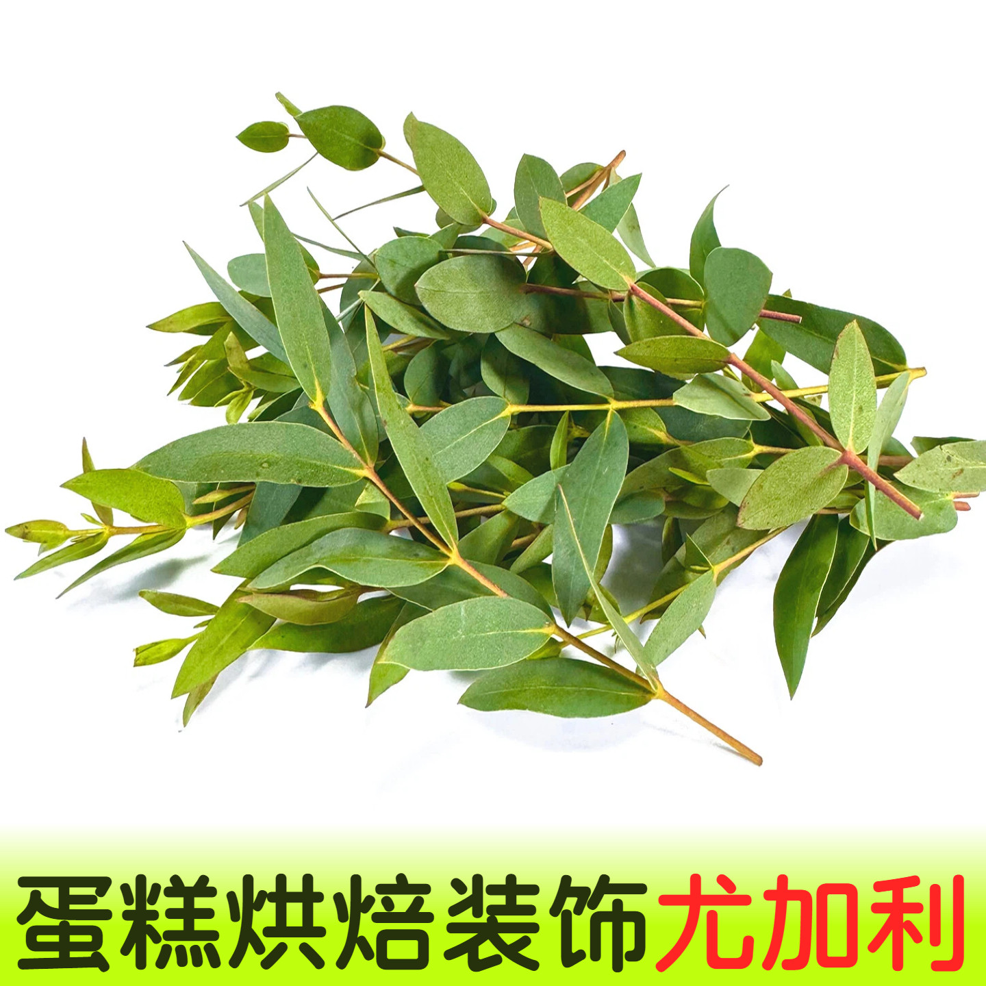 新鲜蛋糕烘焙装饰尤加利西餐酒店宴席鸡尾酒摆盘装饰花草绿叶材料,节庆用品/礼品,蛋糕/烘焙装饰用品,淘宝优惠券,粉丝福利购,淘宝优惠卷