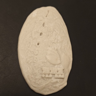 海连江鲍鱼树脂diy白胚清仓贱卖可手绘可印刷可做冰箱贴礼品配件