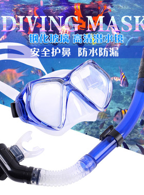 成人潜水镜装备套装浮潜三宝防水全半干式呼吸管儿童面罩游泳眼镜