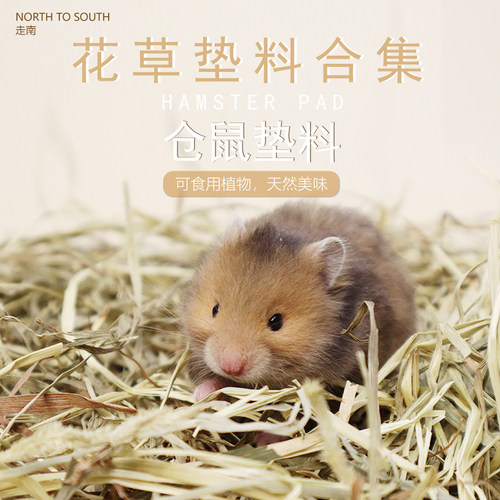 花草垫料合集 仓鼠可食用提摩西草杨木丝苔藓除臭造景走南养老院 - 封面