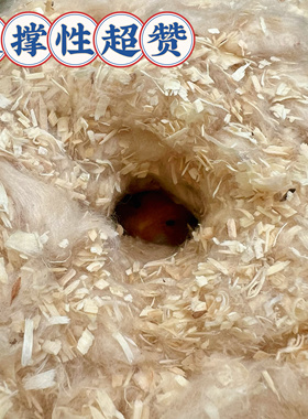 仓鼠金丝熊过冬保暖挖掘盒大厕所木棉纸棉冬季驱寒小窝预防伪冬眠