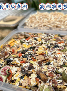 仓鼠熊粮 高纤维高蛋白金丝熊自配粮合成粮天然粮食物走南养老院