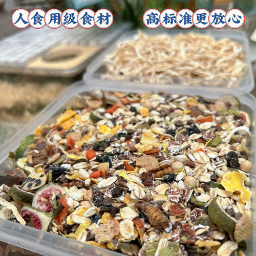 仓鼠高蛋白饲料金丝熊