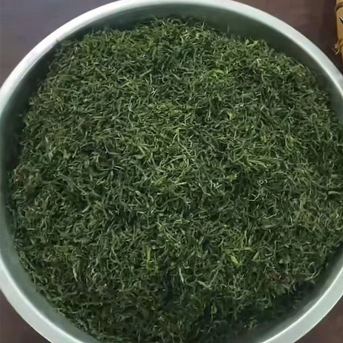 绿茶西山茶春茶春茶茶叶