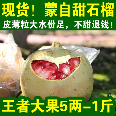 正宗云南蒙自薄皮甜石榴