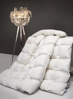寐MINE 雪雁 进口西伯利亚白鹅绒被羽绒雪绒春秋厚被00377 00378
